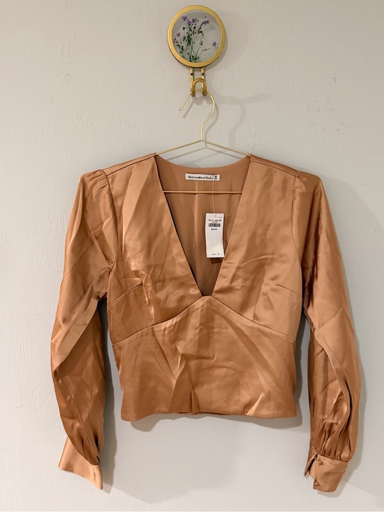 Abercrombie & Fitch Tops - Abercrombie & Fitch Copper Satin V-Neck Long Sleeve Blouse
